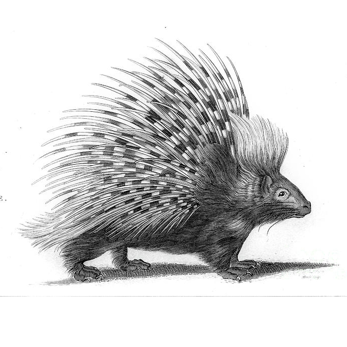 Just another WordPress site